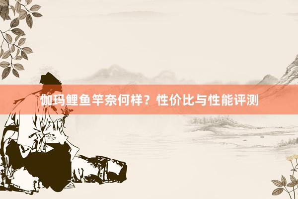 伽玛鲤鱼竿奈何样？性价比与性能评测